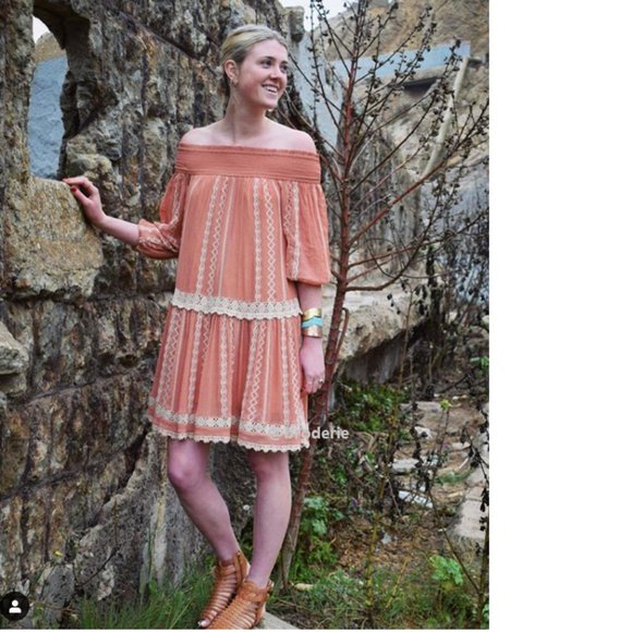 Anthropologie Orchard Lace Dress by Floreat new - Picture 4 of 8